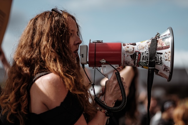 Manifestation de l’ultradroite à Paris : un cortège sous haute tension