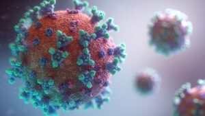 Virus Nipah : après un décès en Asie, l’OMS se veut rassurante sur le risque mondial
