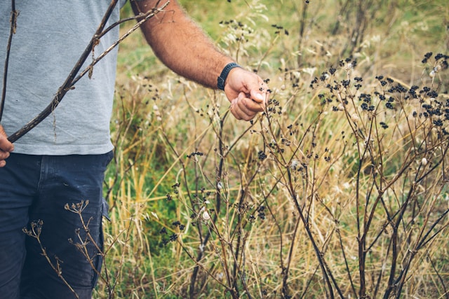 Associations écologistes et police de l’environnement ciblées par des violences agricoles