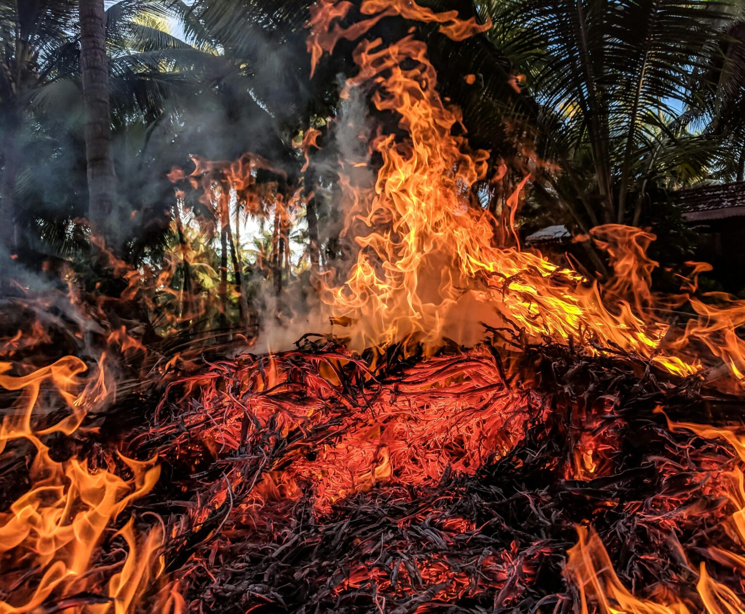 Incendie dans l’Aude : face au feu, la France mobilise toutes ses forces