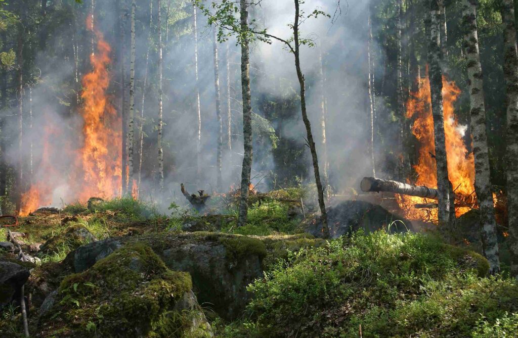 Incendie en Gironde : le feu aux portes de Bordeaux, près de 30 000 hectares partis en fumée, 110 000 personnes évacuées, le pire incendie du siècle en France
