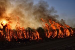 Incendie en Gironde : 4 800 hectares ravagés, 12 000 évacués, deux pompiers morts, le cauchemar de 2022 recommence