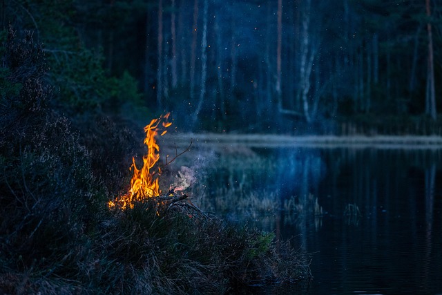 116 000 hectares brûlés : Engie met 25 millions sur la table pour reconstruire les forêts, mais la facture sera bien plus lourde